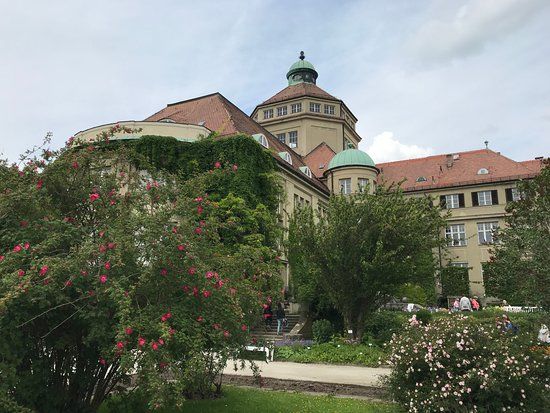 Giardino botanico Nymphenburg di Monaco di Baviera